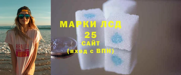 спайс Инта