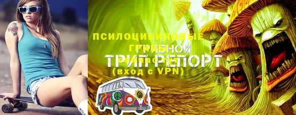 спайс Инта