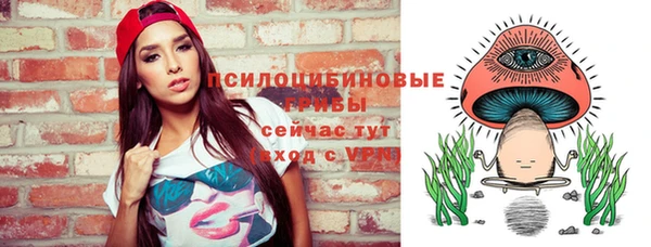 спайс Инта
