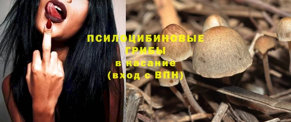 бутират Иннополис